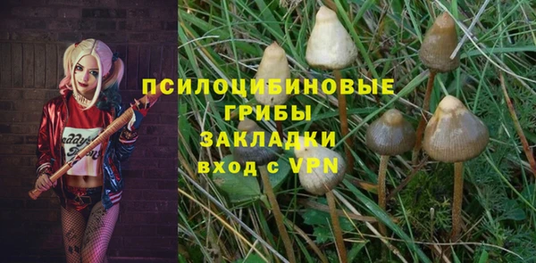 гашик Алексин