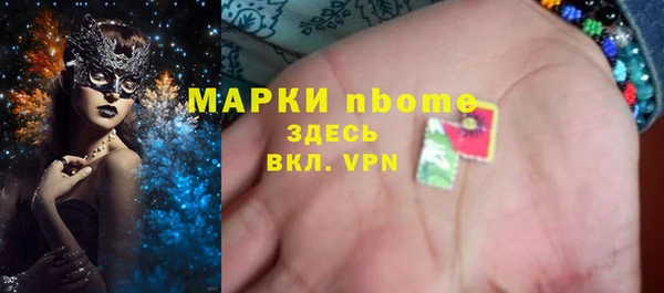 гашик Алексин