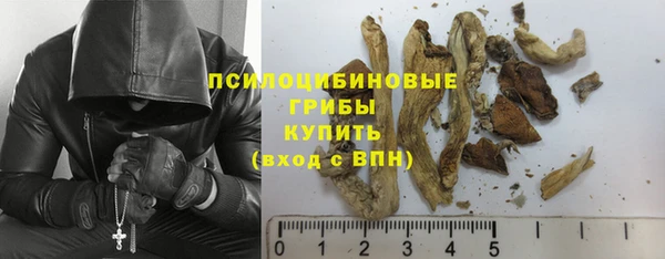прущая мука Алзамай