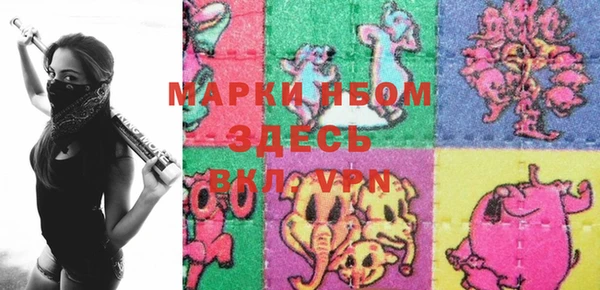 гашик Алексин
