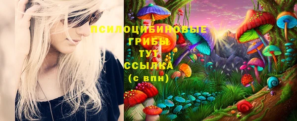 дурь Алексеевка