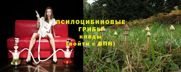 дурь Алексеевка