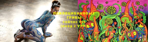 гашик Алексин