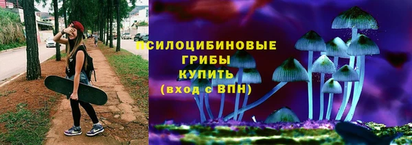 гашик Алексин
