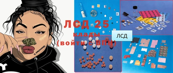 гашик Алексин