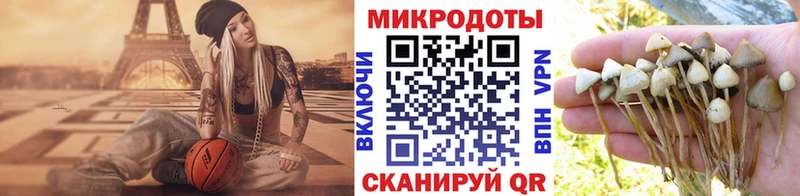 Галлюциногенные грибы GOLDEN TEACHER  закладка  Углич 