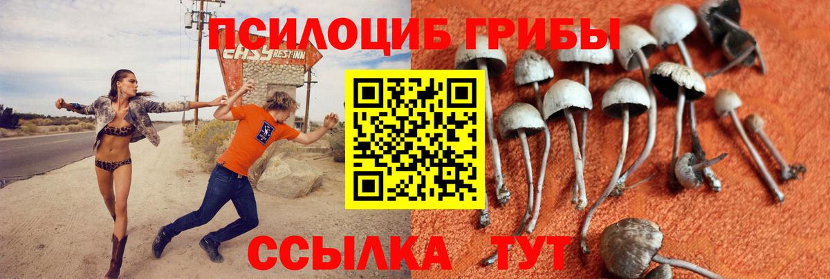Галлюциногенные грибы Magic Shrooms  Вход с VPN  Углич 